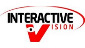 Interactive Vision